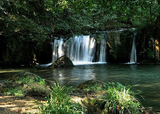 <!--:it-->Bosco del Sasseto e Castello di Torre Alfina<!--:-->