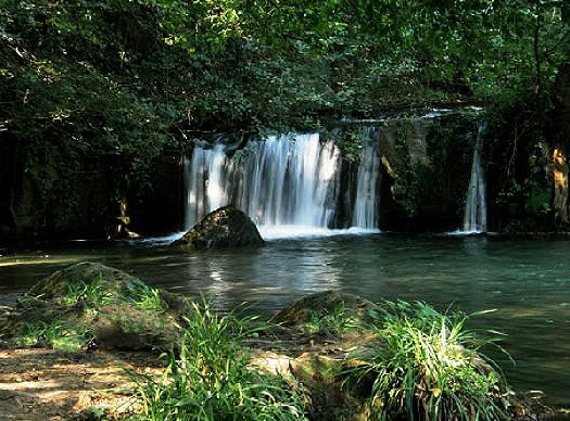 <!--:it-->Bosco del Sasseto e Castello di Torre Alfina<!--:-->