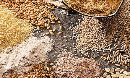Cerealia. La Festa dei Cereali. Cerere e il Mediterraneo