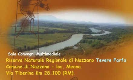 “COSTRUZIONE DI UN TAVOLO” – PROPOSTE PER LO SVILUPPO E LA VISIBILITA’ DI ARTIGIANI, O.P.I. E HOBBISTI DELLA SABINA