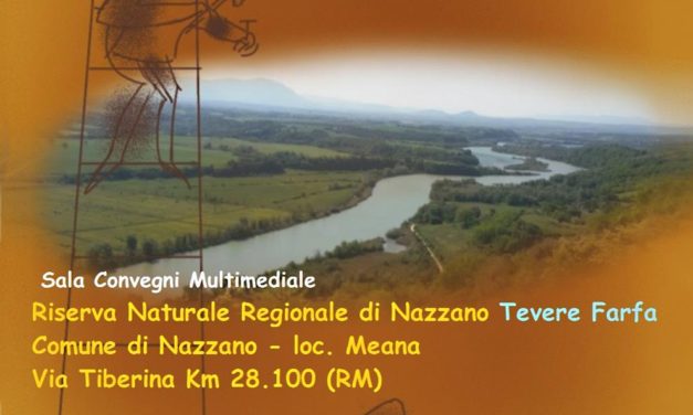 “COSTRUZIONE DI UN TAVOLO” – PROPOSTE PER LO SVILUPPO E LA VISIBILITA’ DI ARTIGIANI, O.P.I. E HOBBISTI DELLA SABINA