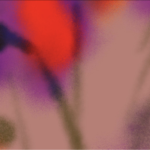 Primavera dei Teatri 2026, a Castrovillari la XXVI edizione del festival dedicato ai nuovi linguaggi della scena contemporanea